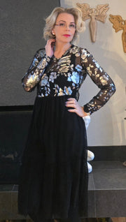 Birta tvílitur svört og silfurgræn